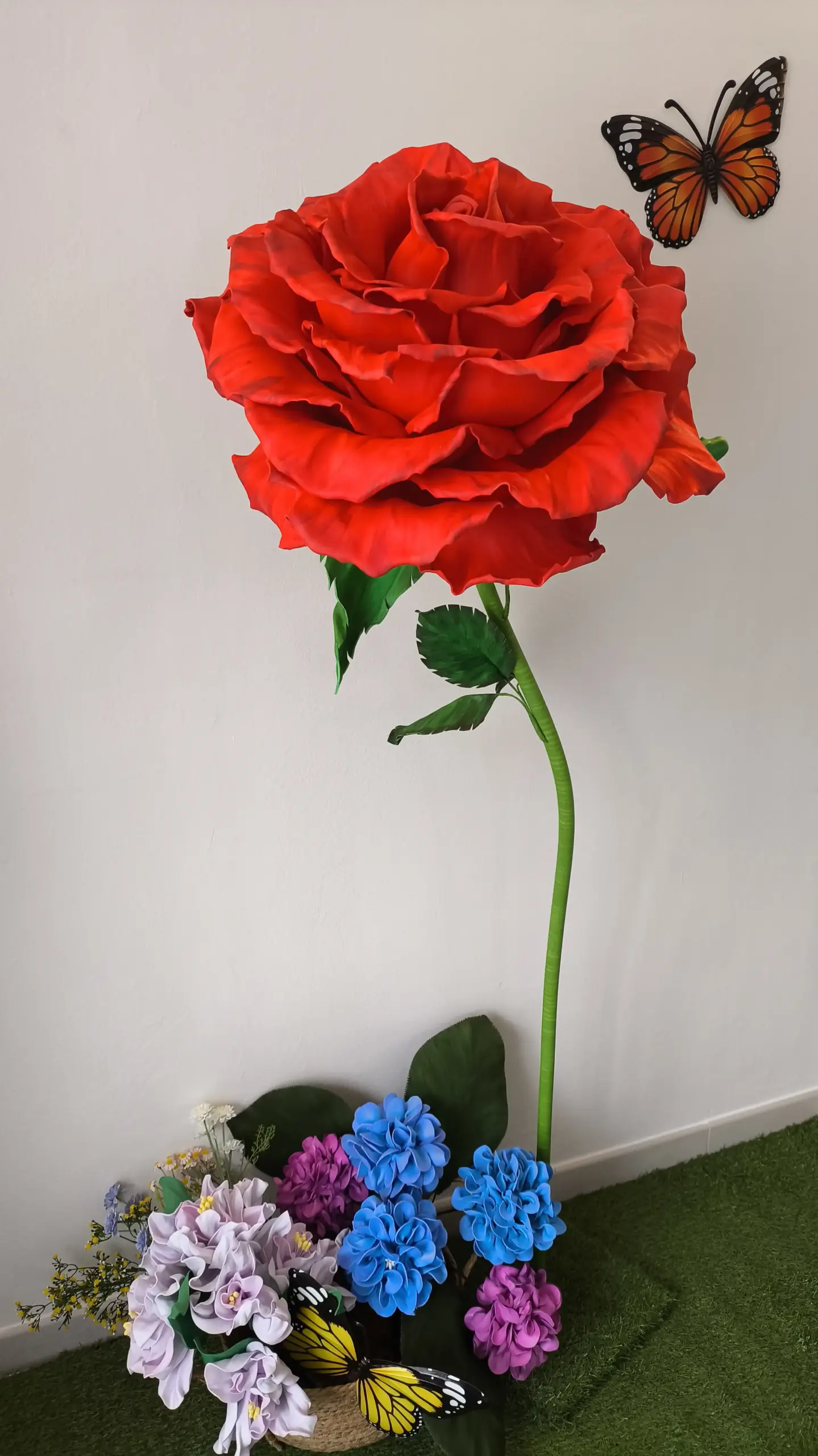 rosa gigante, fiori giganti,