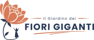 fiori giganti luino, fiori giganti, tulipani giganti, rose giganti,